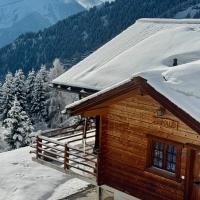 chalet snow