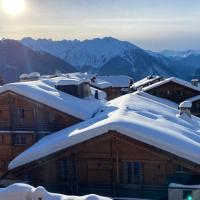 snowy view