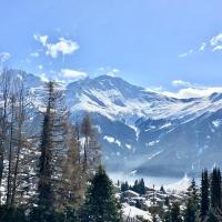 snowy view