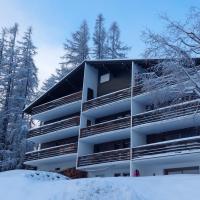 snowy chalet view