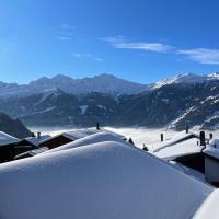 winterview